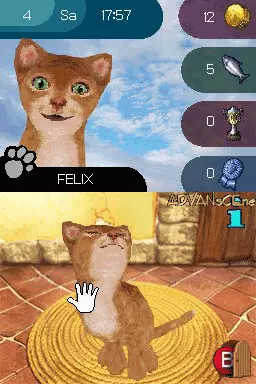 Image n° 3 - screenshots : Paws & Claws - Best Friends - Dogs & Cats